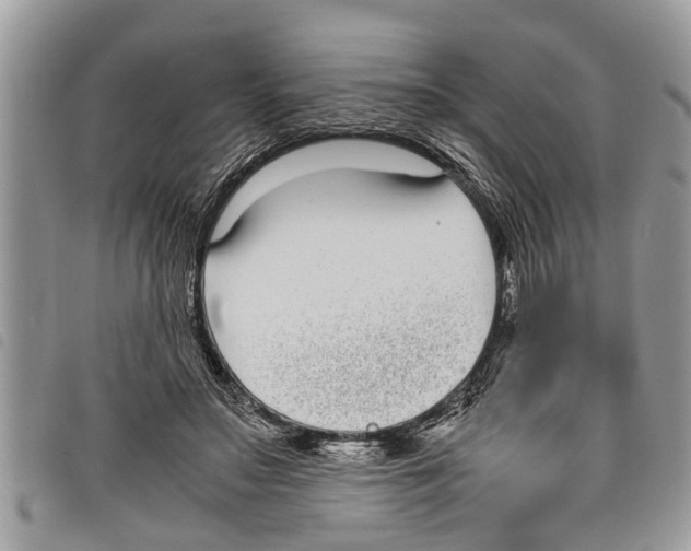 X0000097800499200804110928