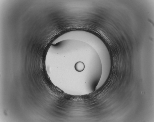 X0000097800500200804110928