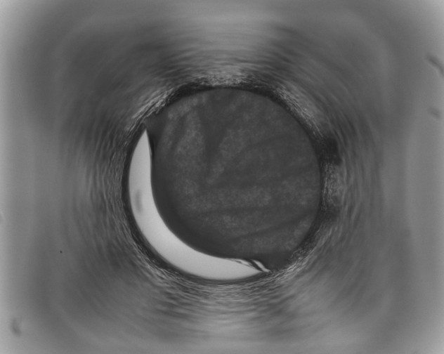 X0000097800501200804110928