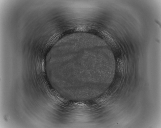 X0000097800502200804110928