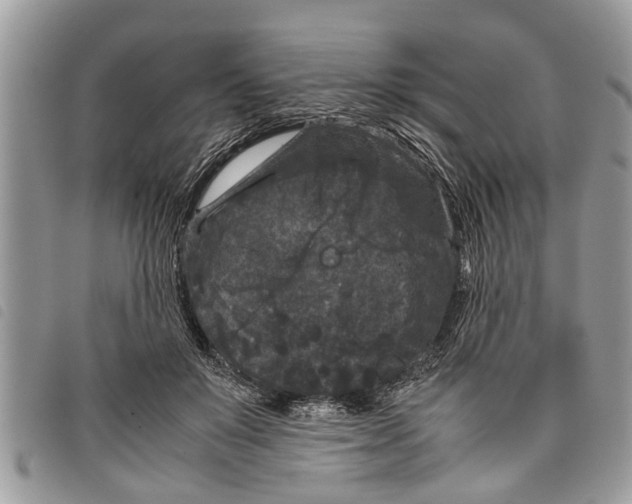 X0000097800503200804110928