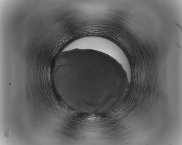 X0000097800504200804110928