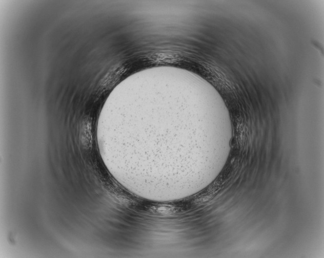 X0000097800506200804110928