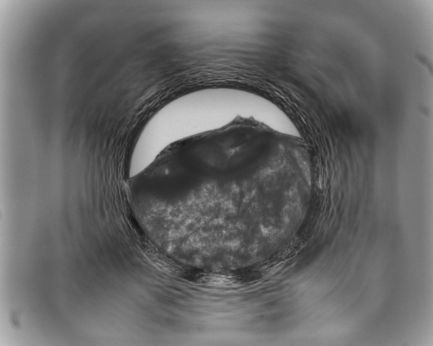 X0000097800507200804110928