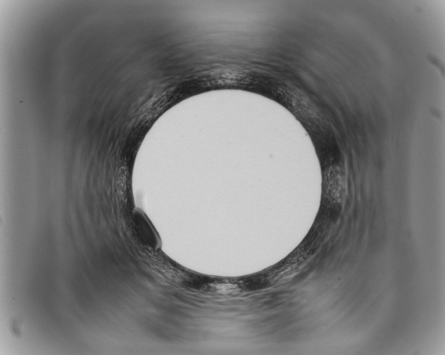 X0000097800509200804110928