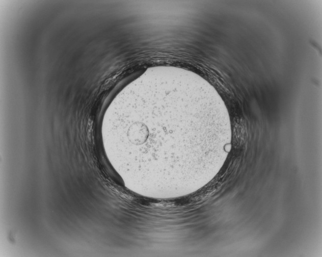 X0000097800511200804110928