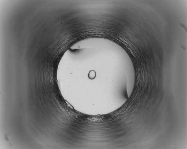 X0000097800512200804110928