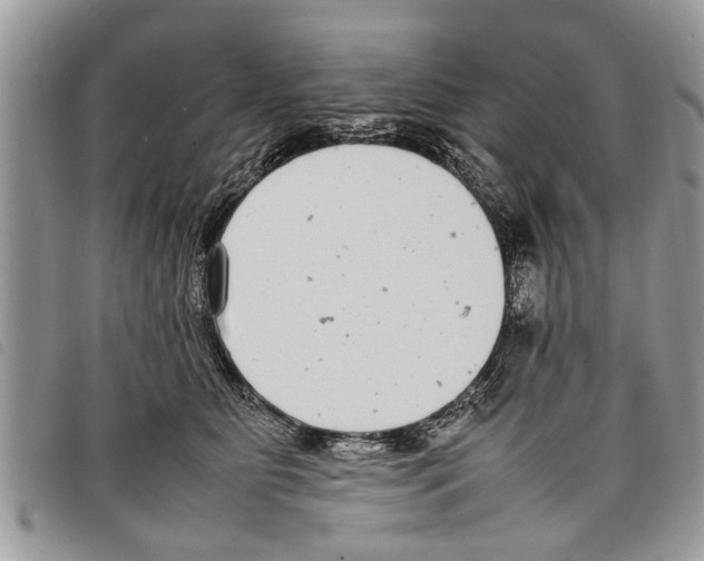 X0000097800515200804110928