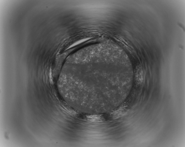 X0000097800516200804110928