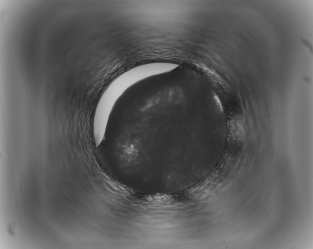 X0000097800517200804110928