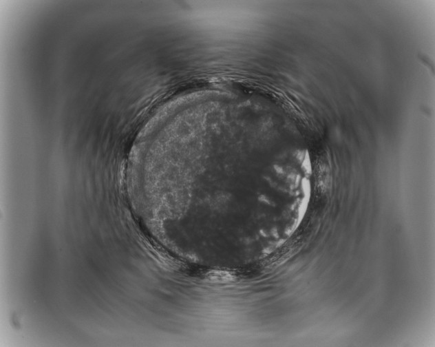 X0000097800519200804110928