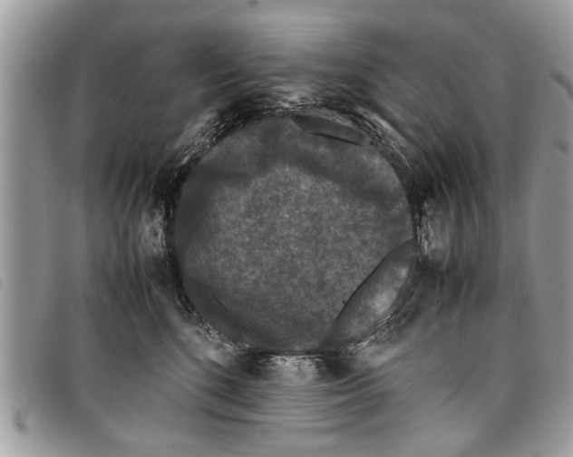 X0000097800520200804110928