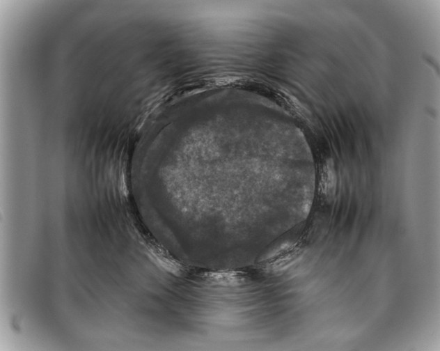 X0000097800524200804110928