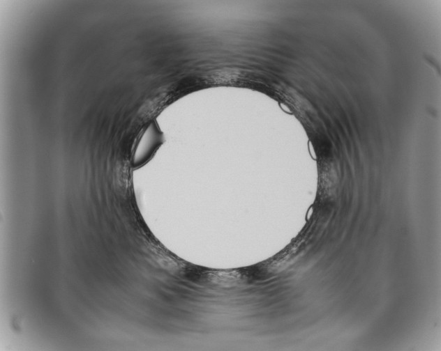 X0000097800525200804110928