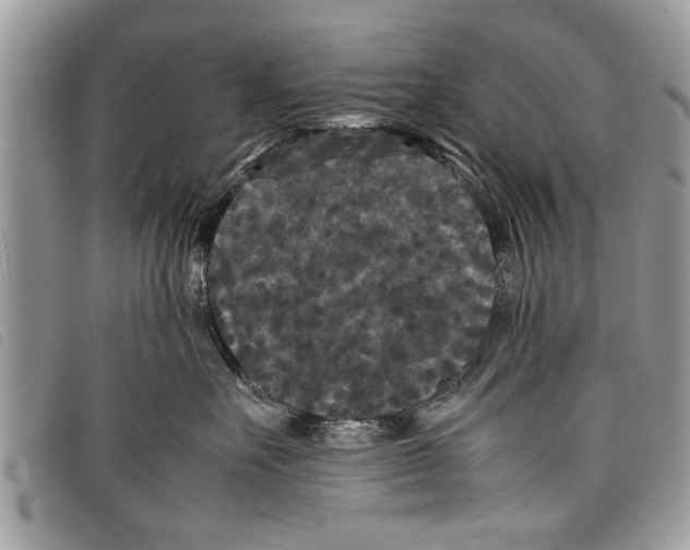 X0000097800527200804110928