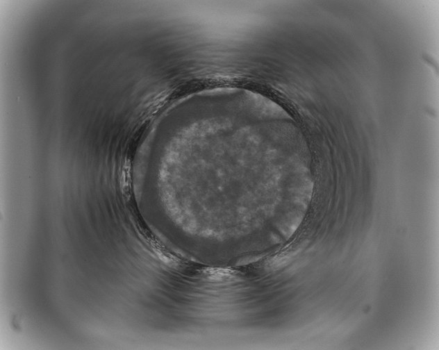 X0000097800528200804110928