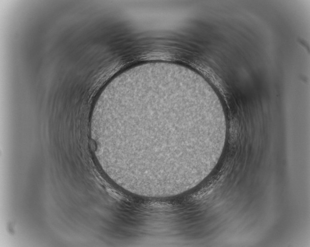 X0000097800529200804110927