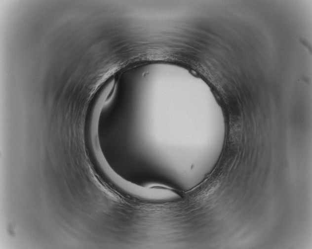 X0000097800530200804110927