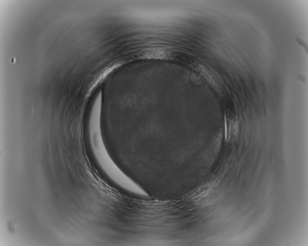 X0000097800531200804110927