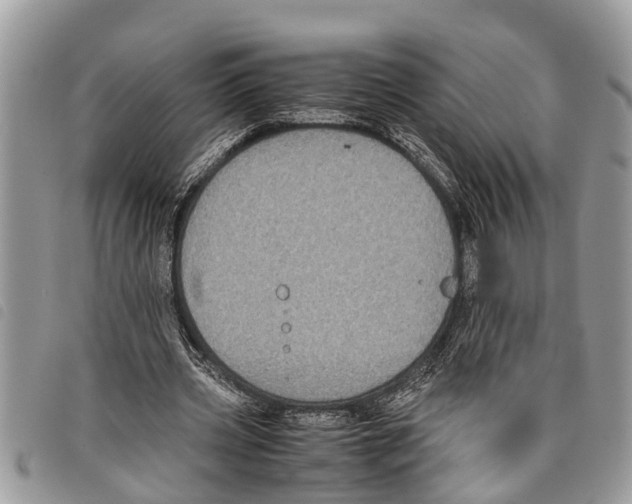 X0000097800533200804110927