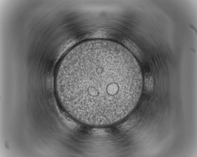 X0000097800534200804110927