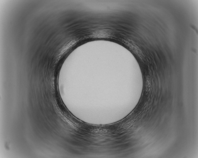 X0000097800535200804110927