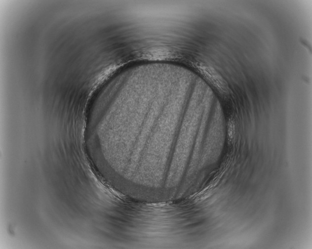 X0000097800540200804110927