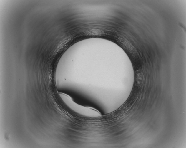 X0000097800544200804110927