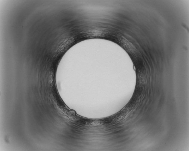 X0000097800546200804110927