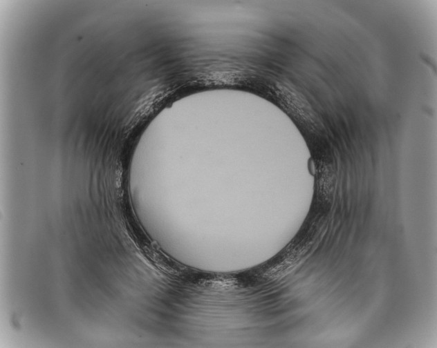 X0000097800548200804110927