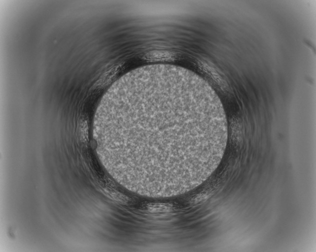 X0000097800549200804110927