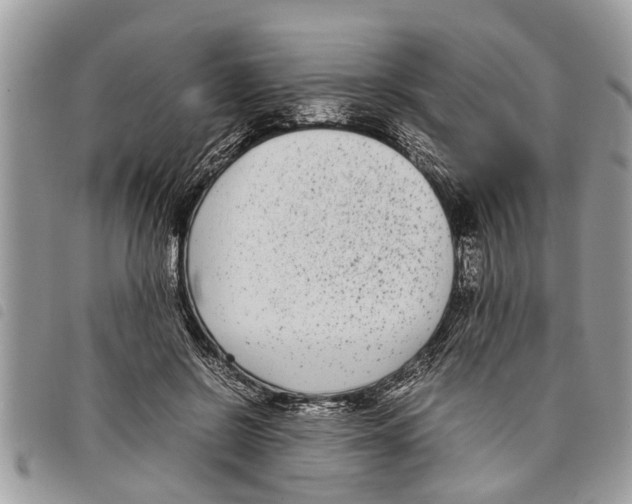 X0000097800550200804110927