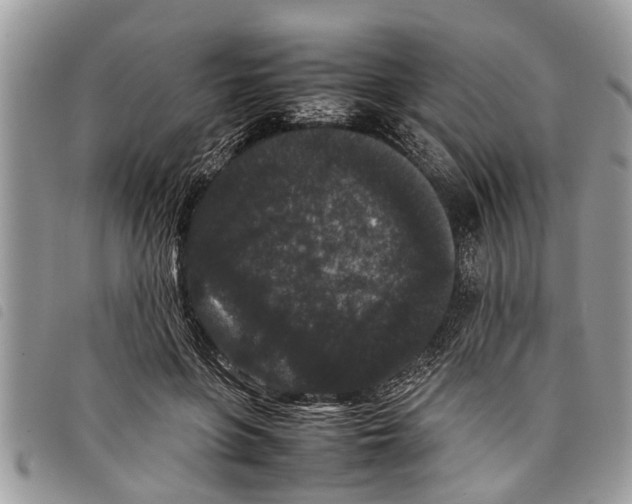 X0000097800551200804110927