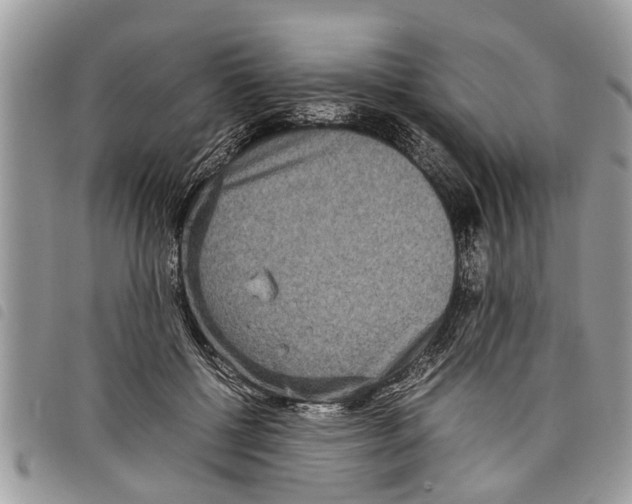 X0000097800552200804110927