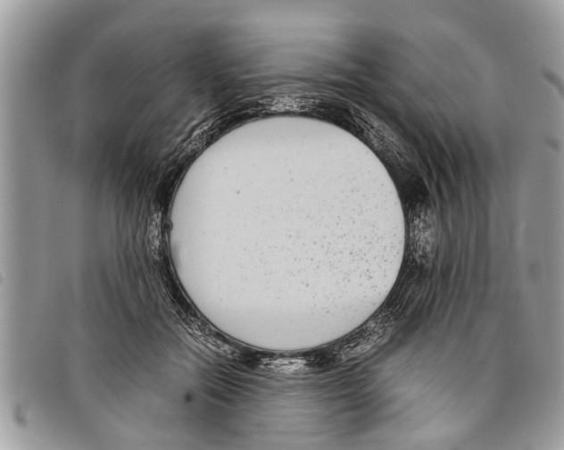 X0000097800554200804110927