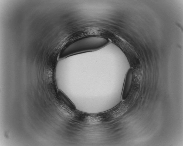 X0000097800556200804110927