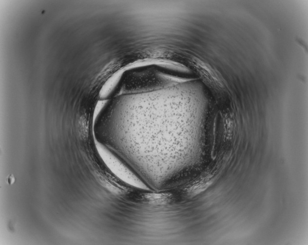 X0000097800558200804110927