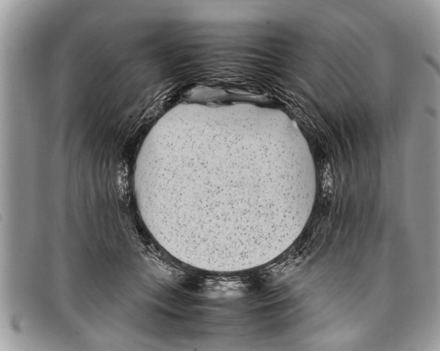 X0000097800559200804110927