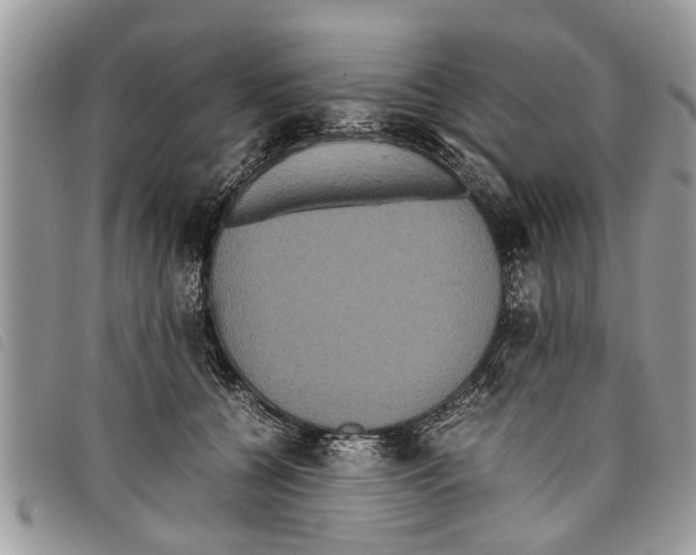 X0000097800560200804110927