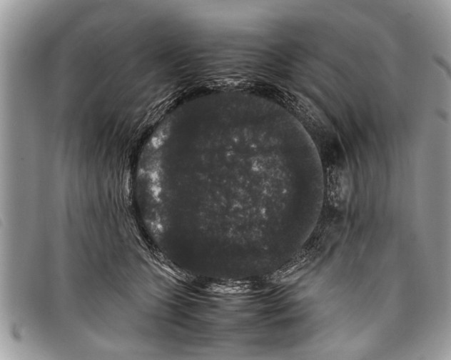 X0000097800563200804110927