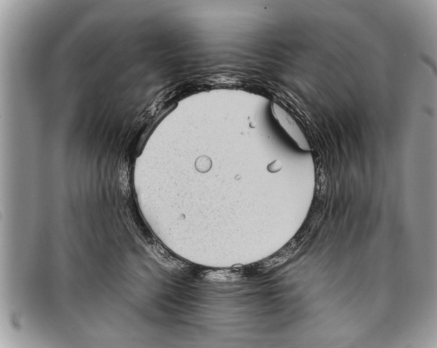 X0000097800568200804110927