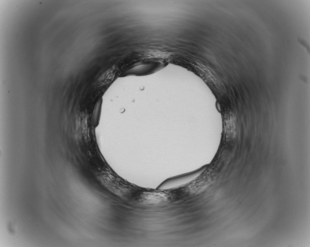 X0000097800572200804110927