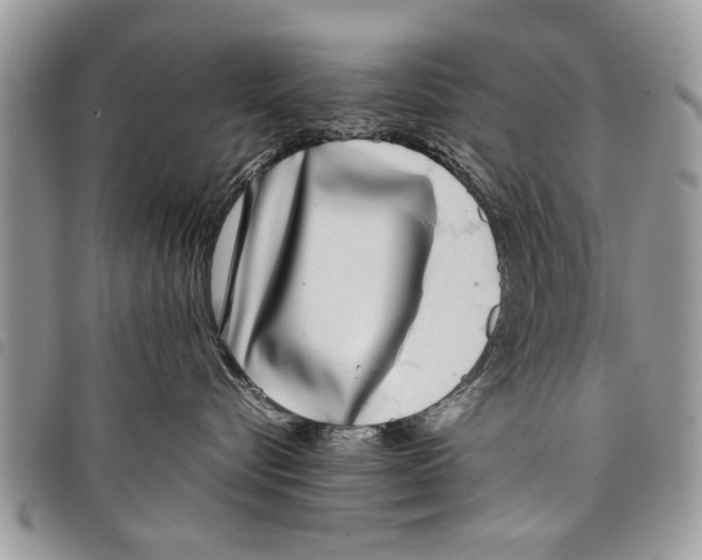 X0000097800576200804110928