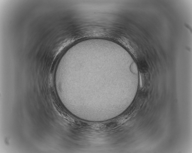 X0000097800579200804110927