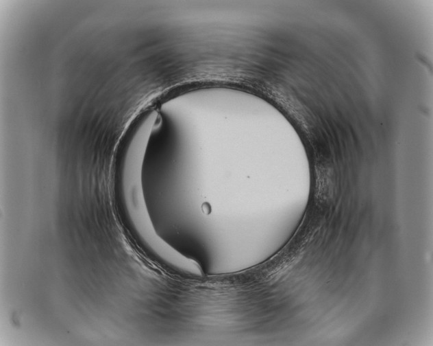 X0000097800580200804110927