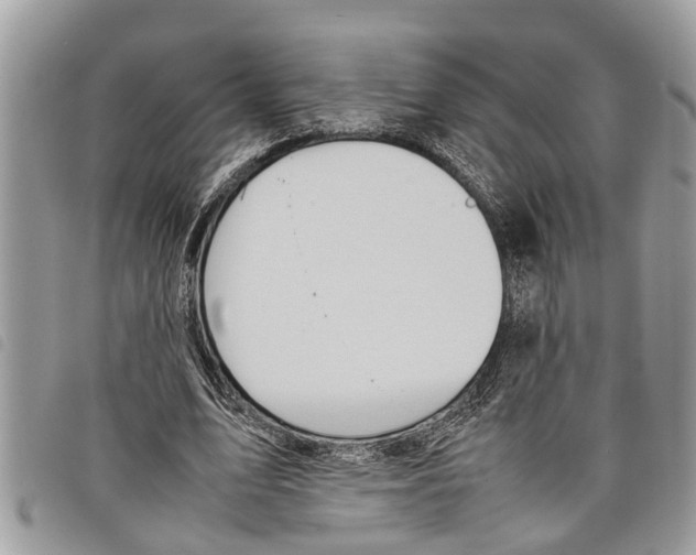 X0000097800583200804110927