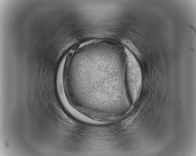 X0000097800585200804110927