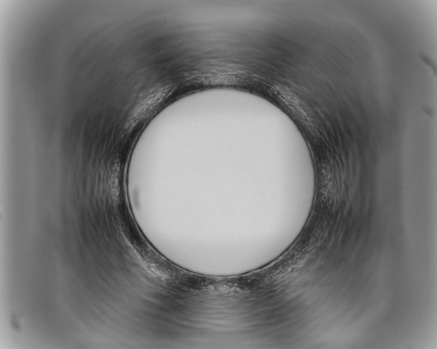 X0000097800586200804110927