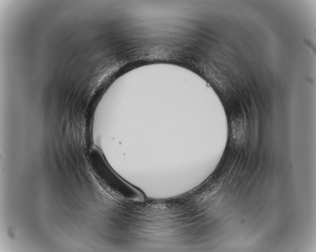 X0000097800588200804110927