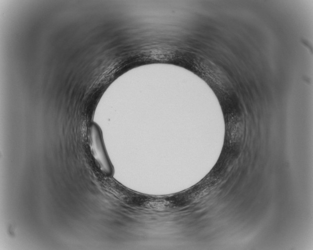 X0000097800595200804110926